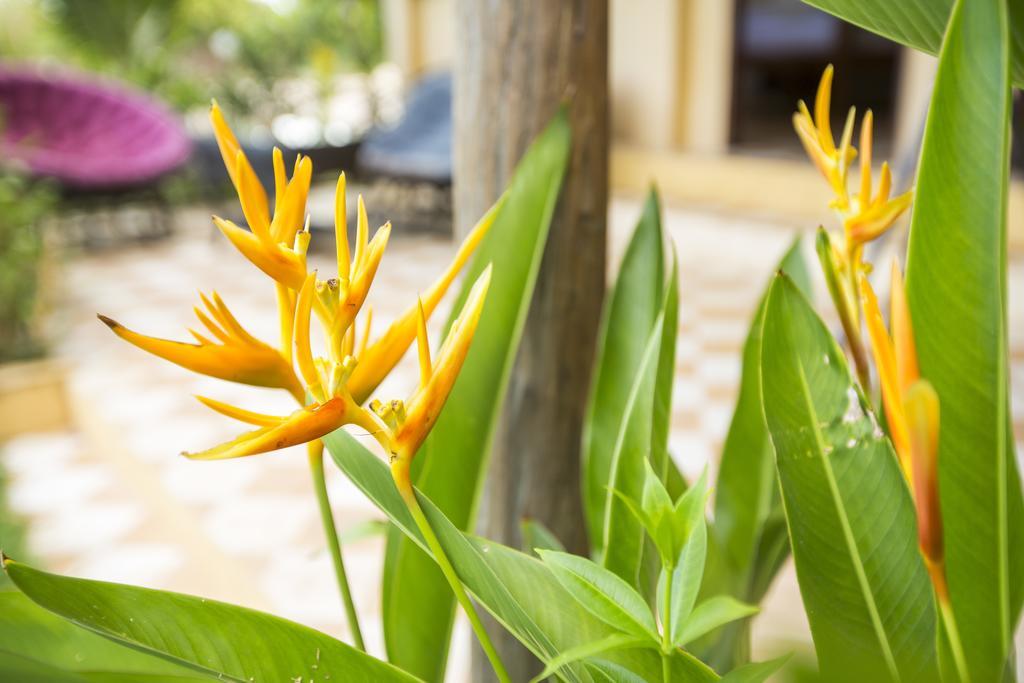 Champa Lodge Кампот Экстерьер фото